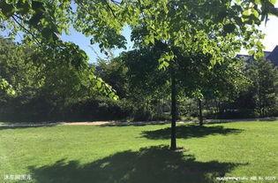 芒着种快乐,播种快乐，收获幸福