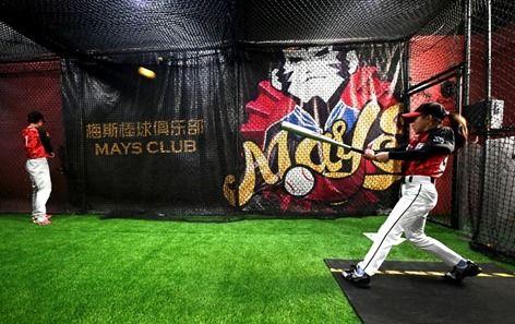 投争荣耀：2024MLB世界大赛,投争荣耀，巅峰对决