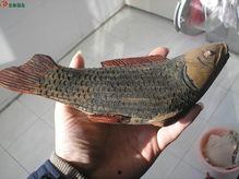 民国小锦鲤,传奇少女的逆袭人生